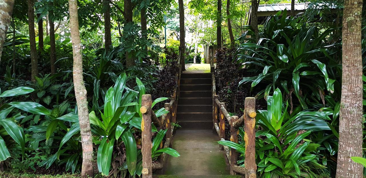 Tagaytay Summer House Tagaytay City Екстер'єр фото