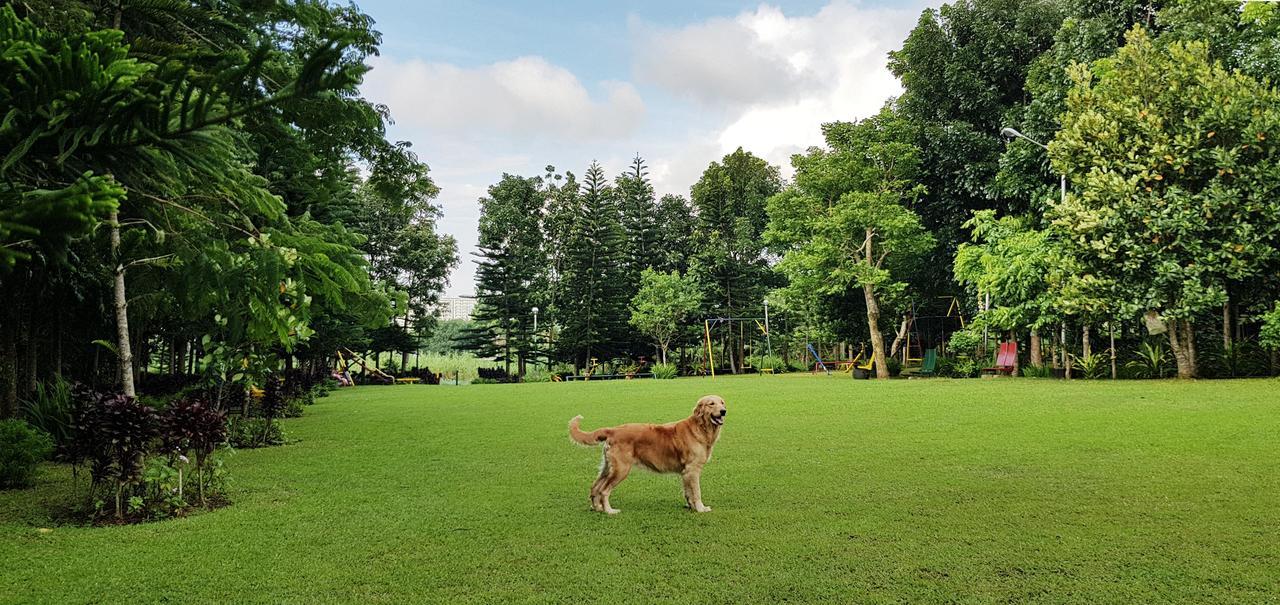 Tagaytay Summer House Tagaytay City Екстер'єр фото
